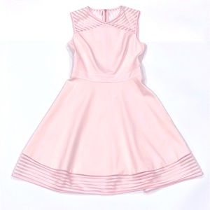 Ted Baker Eleese Mesh Detail Skater Baby Pink Dress